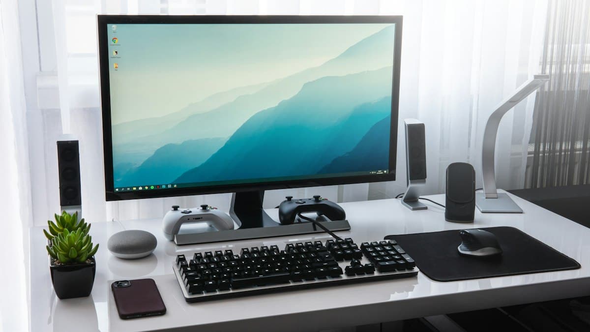 Monitores y periféricos